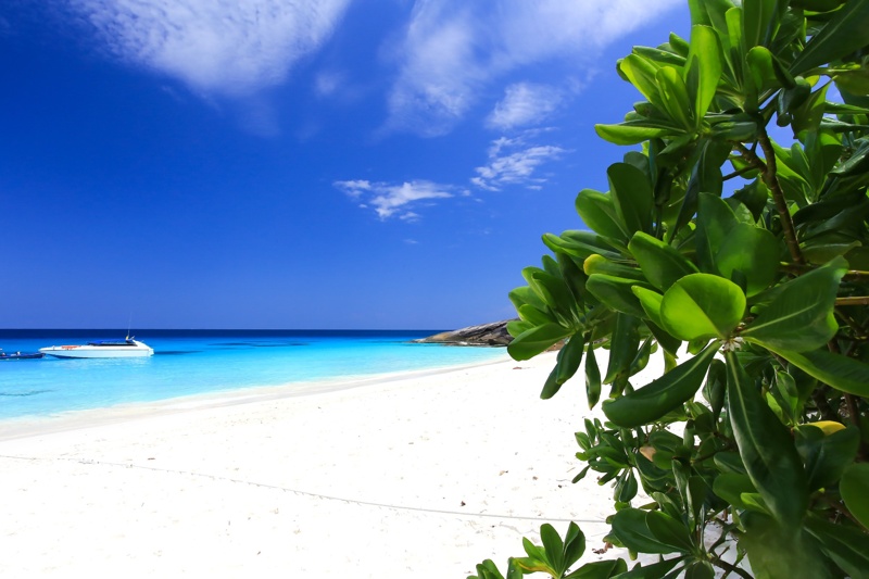 Clear blue waters surrounding Similan Islands, perfect for snorkeling and diving.