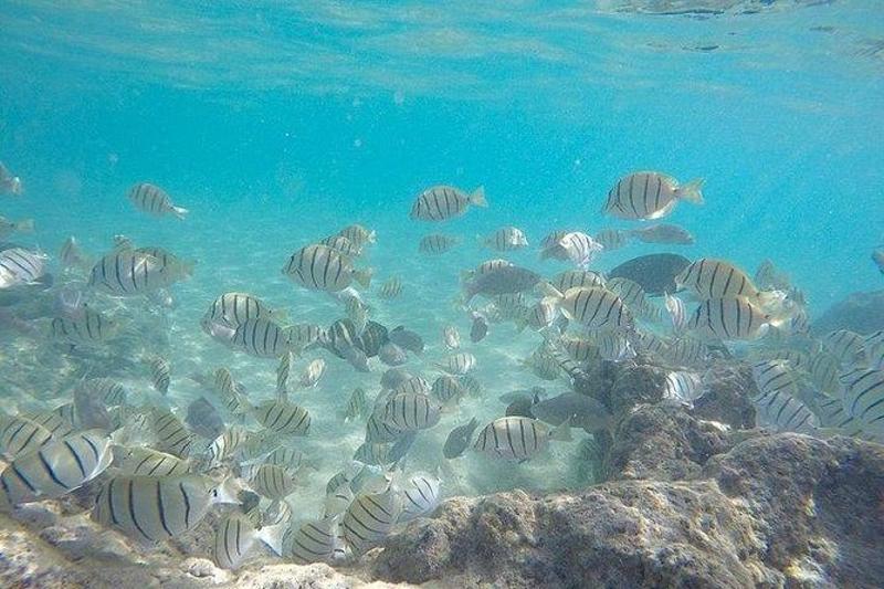 Snorkeler diving into the underwater world at Koh Racha Yai Island.