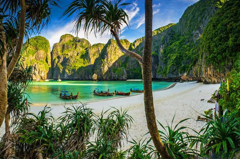 Maya Bay on Phi Phi Island with pristine white sand beach and clear blue water.