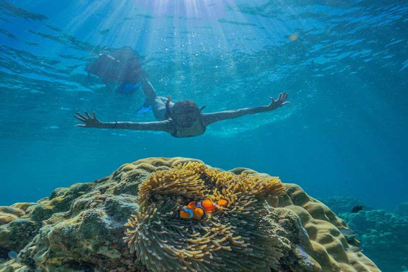 Snorkeling in the crystal-clear waters of Mae Yai Bay at the Surin Islands, Thailand.