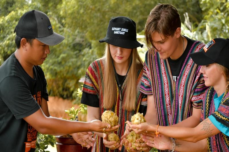 Elephant care Phuket, elephants feeding on fruits and interacting with people