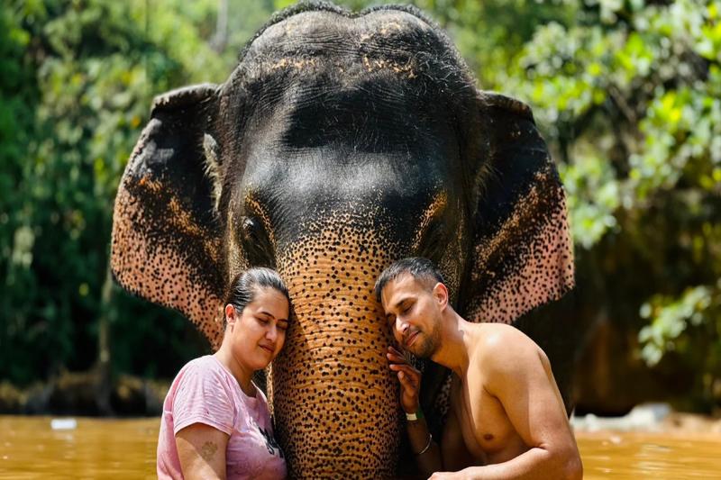 Visitors engaged in elephant care in Phuket, feeding elephants at a sanctuary