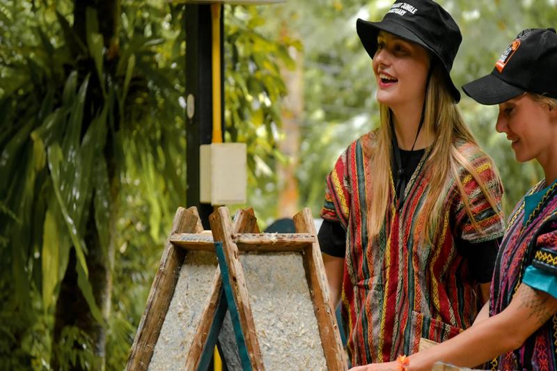 Elephant care Phuket, close interaction with elephants, feeding session