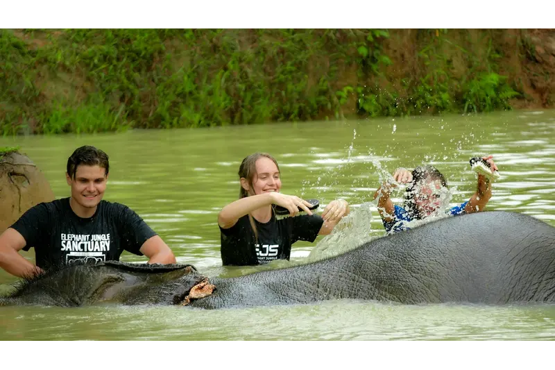 A young smiling woman standing next to a friendly elephant at a jungle sanctuary in Thailand, with l