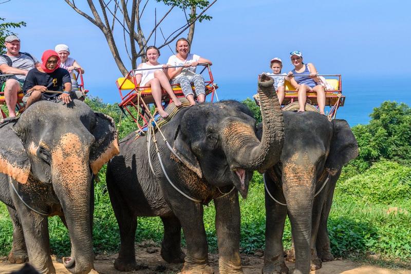 Tourists enjoying an elephant trekking ride in Phuket with a scenic view of the coastline.